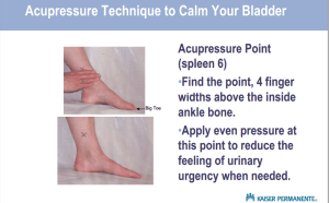 acupressure for bladder